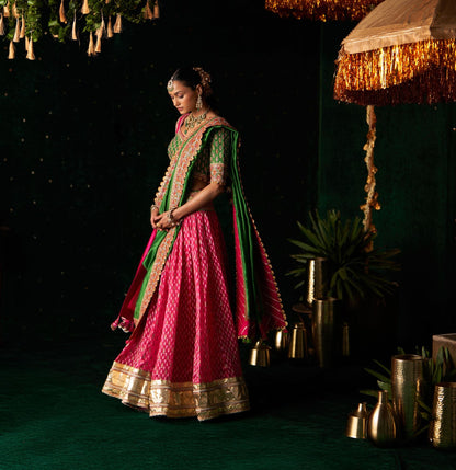 Sarod Lehenga Set