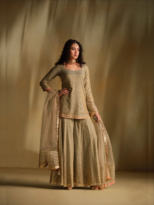 Divya Sharara Set